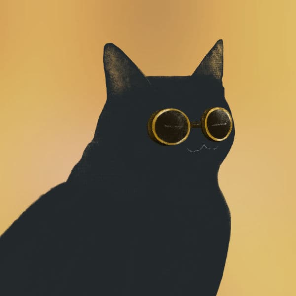 image from lens
